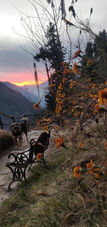 Parvatis Lap Luxury Hostel & Camps Kasol Esterno foto